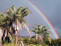 regenbogenbild